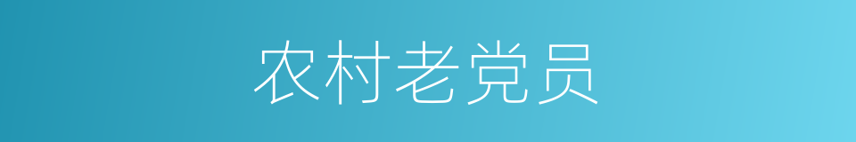 农村老党员的同义词