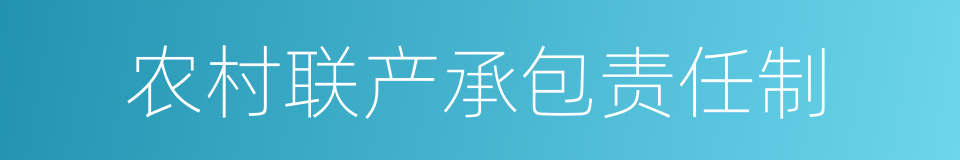 农村联产承包责任制的同义词