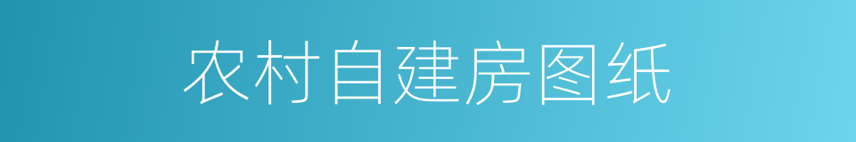 农村自建房图纸的同义词