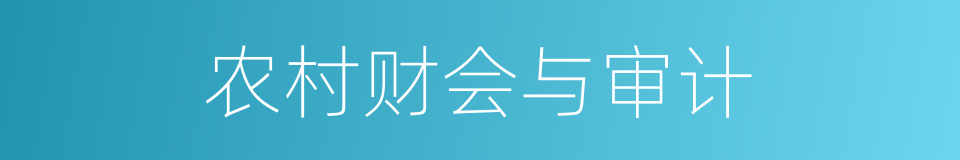 农村财会与审计的同义词