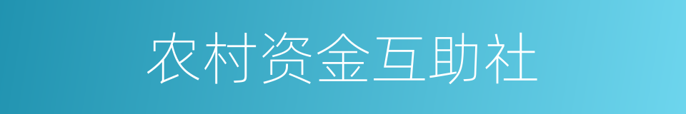 农村资金互助社的同义词