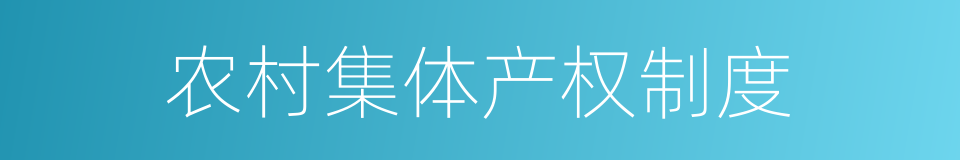 农村集体产权制度的同义词