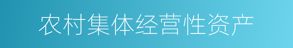 农村集体经营性资产的同义词