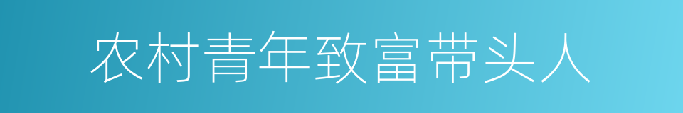 农村青年致富带头人的同义词