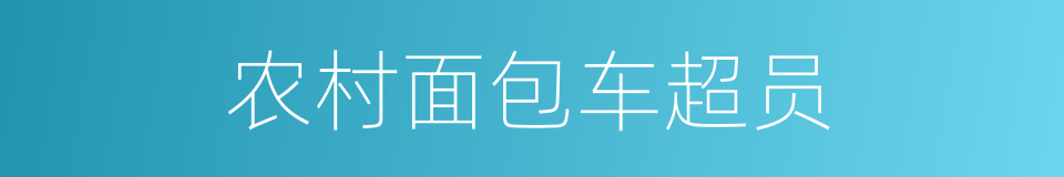 农村面包车超员的同义词