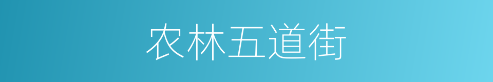 农林五道街的同义词