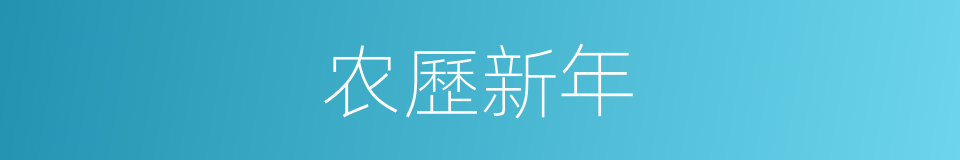 农歷新年的同義詞