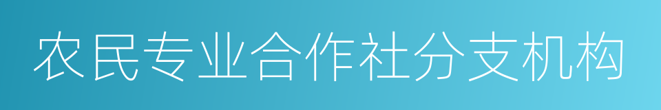 农民专业合作社分支机构的同义词