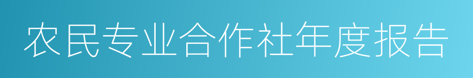 农民专业合作社年度报告的同义词