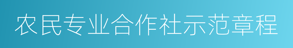 农民专业合作社示范章程的同义词