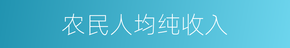 农民人均纯收入的同义词