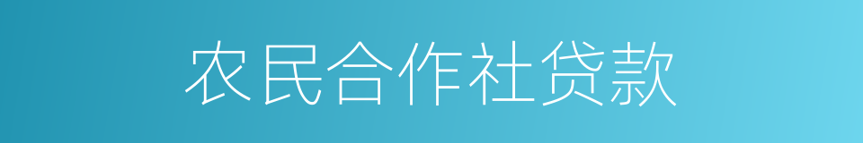 农民合作社贷款的同义词