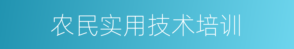农民实用技术培训的同义词