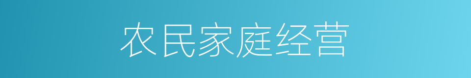 农民家庭经营的同义词