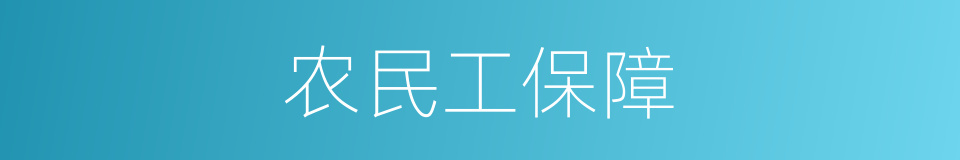 农民工保障的同义词