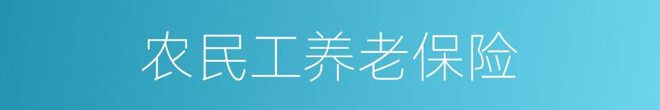 农民工养老保险的同义词