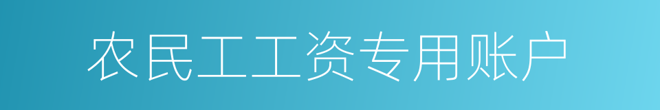 农民工工资专用账户的同义词