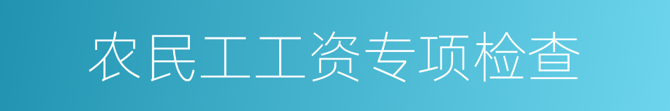 农民工工资专项检查的同义词