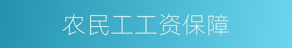 农民工工资保障的同义词