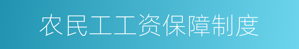 农民工工资保障制度的同义词