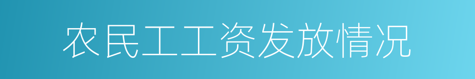 农民工工资发放情况的同义词