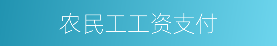 农民工工资支付的同义词