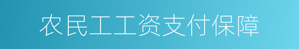 农民工工资支付保障的同义词