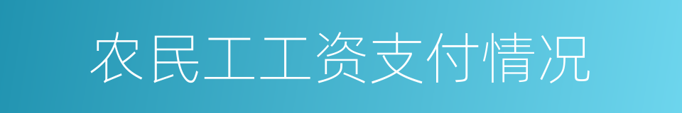 农民工工资支付情况的同义词