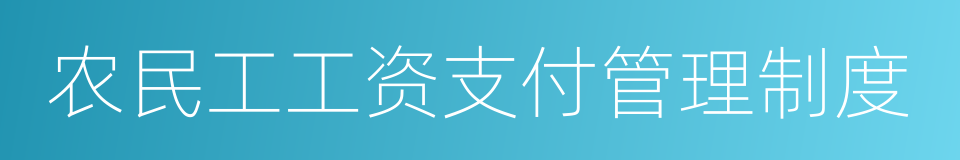 农民工工资支付管理制度的同义词