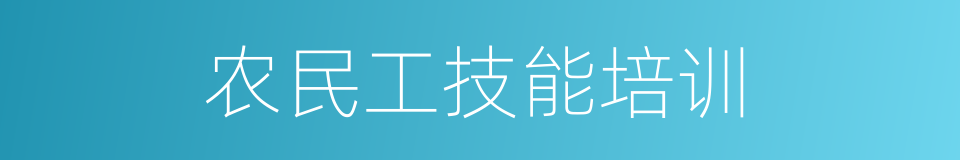 农民工技能培训的同义词