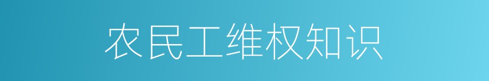 农民工维权知识的同义词