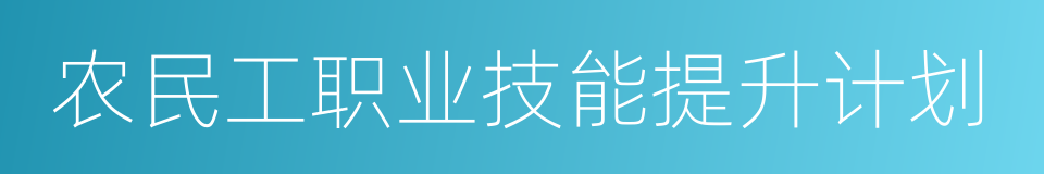 农民工职业技能提升计划的同义词