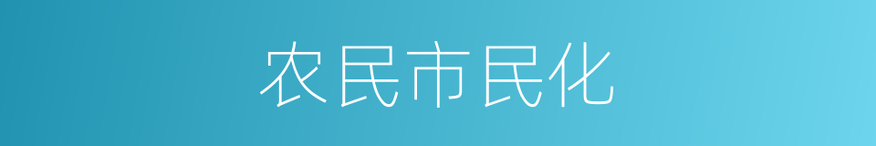 农民市民化的同义词