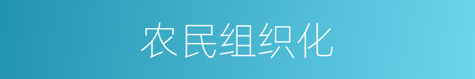 农民组织化的同义词