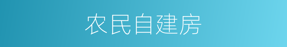 农民自建房的同义词