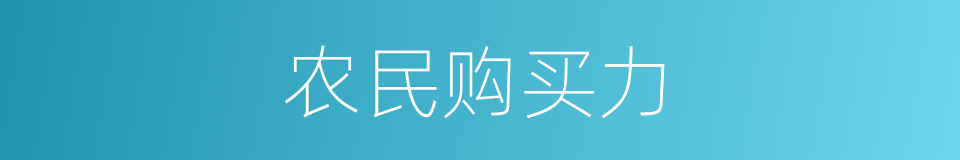 农民购买力的同义词