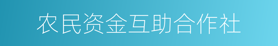 农民资金互助合作社的同义词