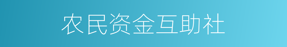 农民资金互助社的同义词
