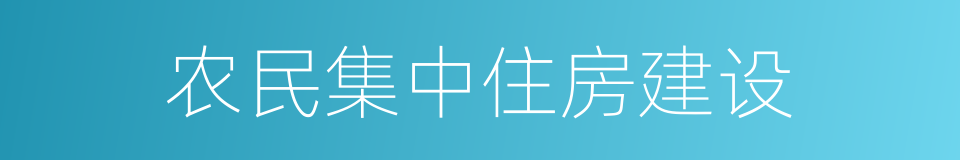 农民集中住房建设的同义词