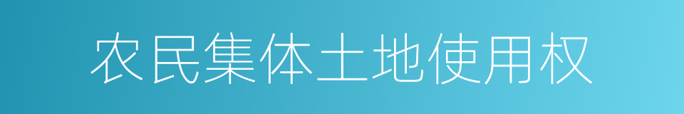 农民集体土地使用权的同义词