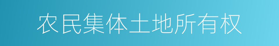 农民集体土地所有权的同义词