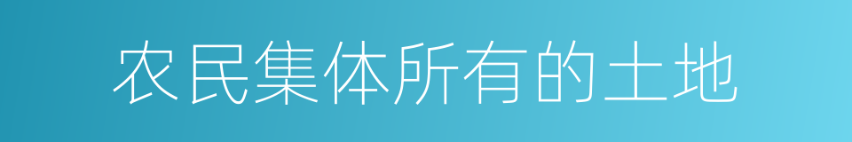 农民集体所有的土地的同义词