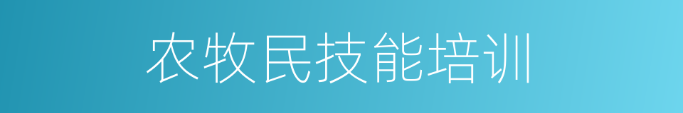 农牧民技能培训的同义词