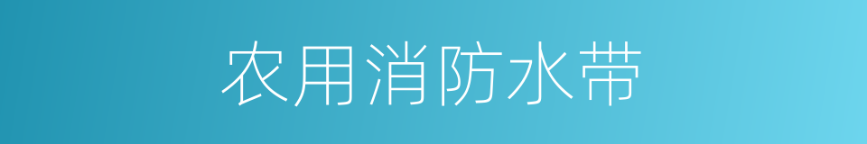 农用消防水带的同义词