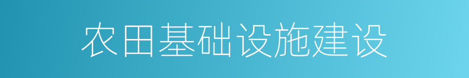 农田基础设施建设的同义词