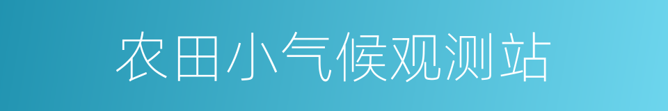 农田小气候观测站的同义词