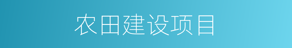 农田建设项目的同义词