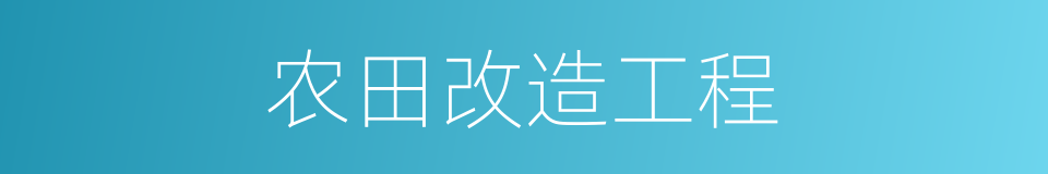 农田改造工程的同义词