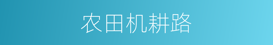 农田机耕路的同义词