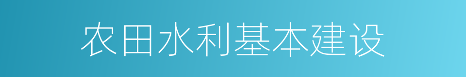 农田水利基本建设的同义词